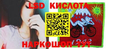 прущие грибы Будённовск