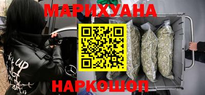 прущие грибы Будённовск