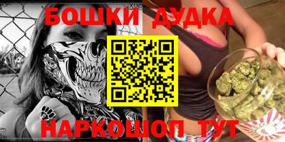 прущие грибы Будённовск