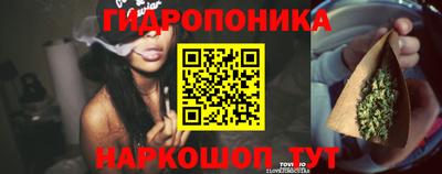 прущие грибы Будённовск