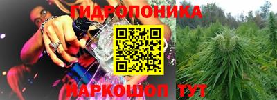 прущие грибы Будённовск