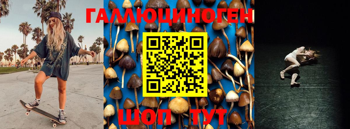 Псилоцибиновые грибы прущие грибы  где можно купить наркотик  Псилоцибиновые грибы Cubensis  Котельники  Вход с VPN 
