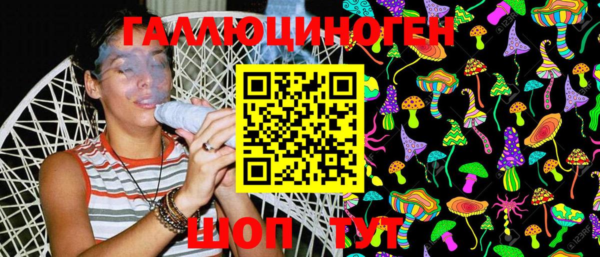 Псилоцибиновые грибы Psilocybe Котельники